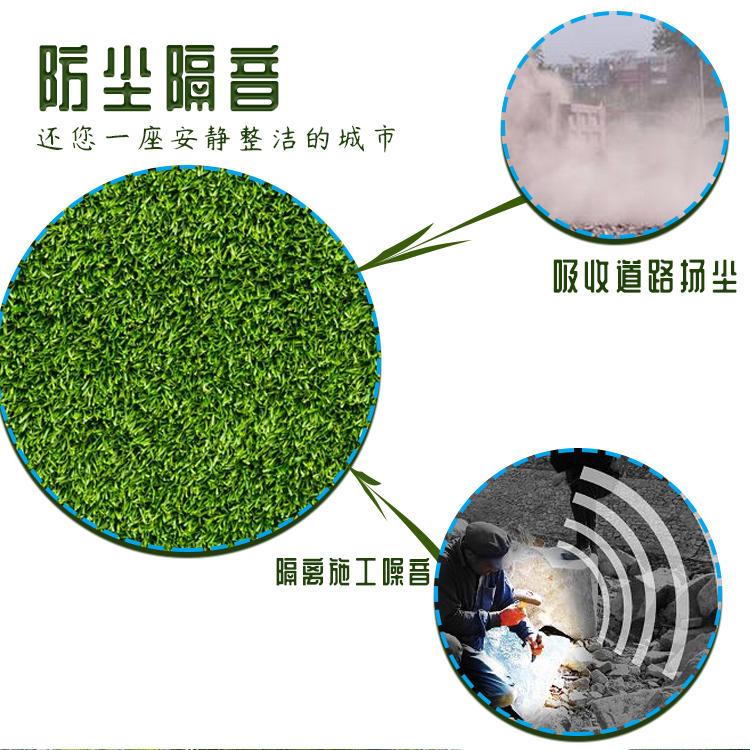 草皮施工围挡